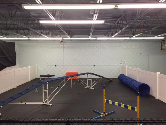 Paw Prints Indoor Dog Park